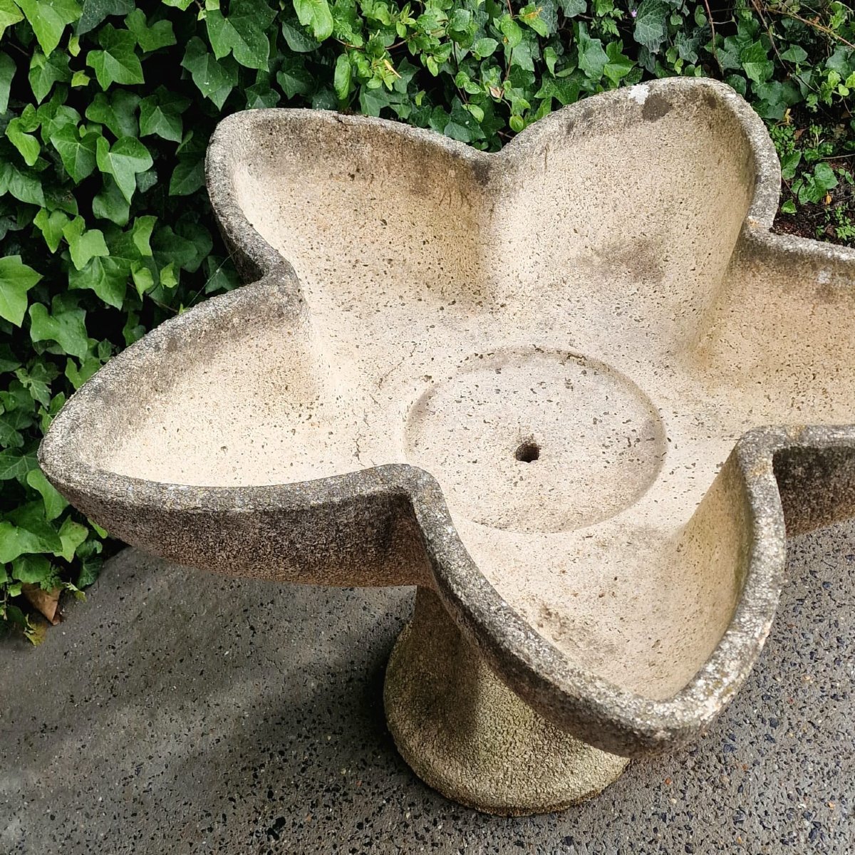 Jardinière en forme d'étoile-photo-2