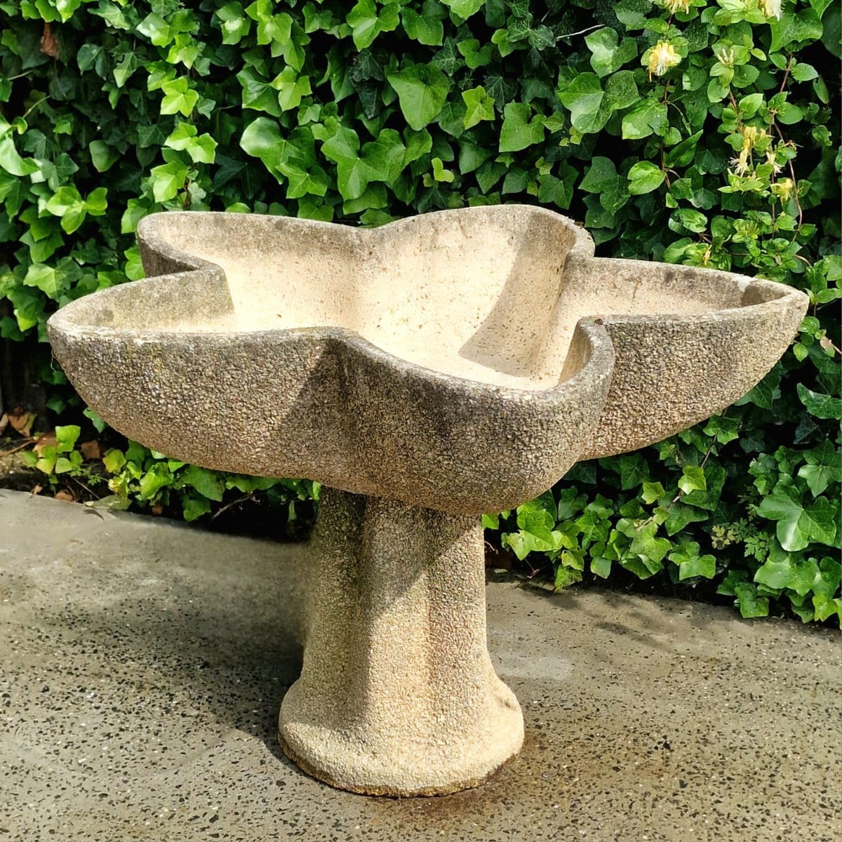 Jardinière en forme d'étoile-photo-3