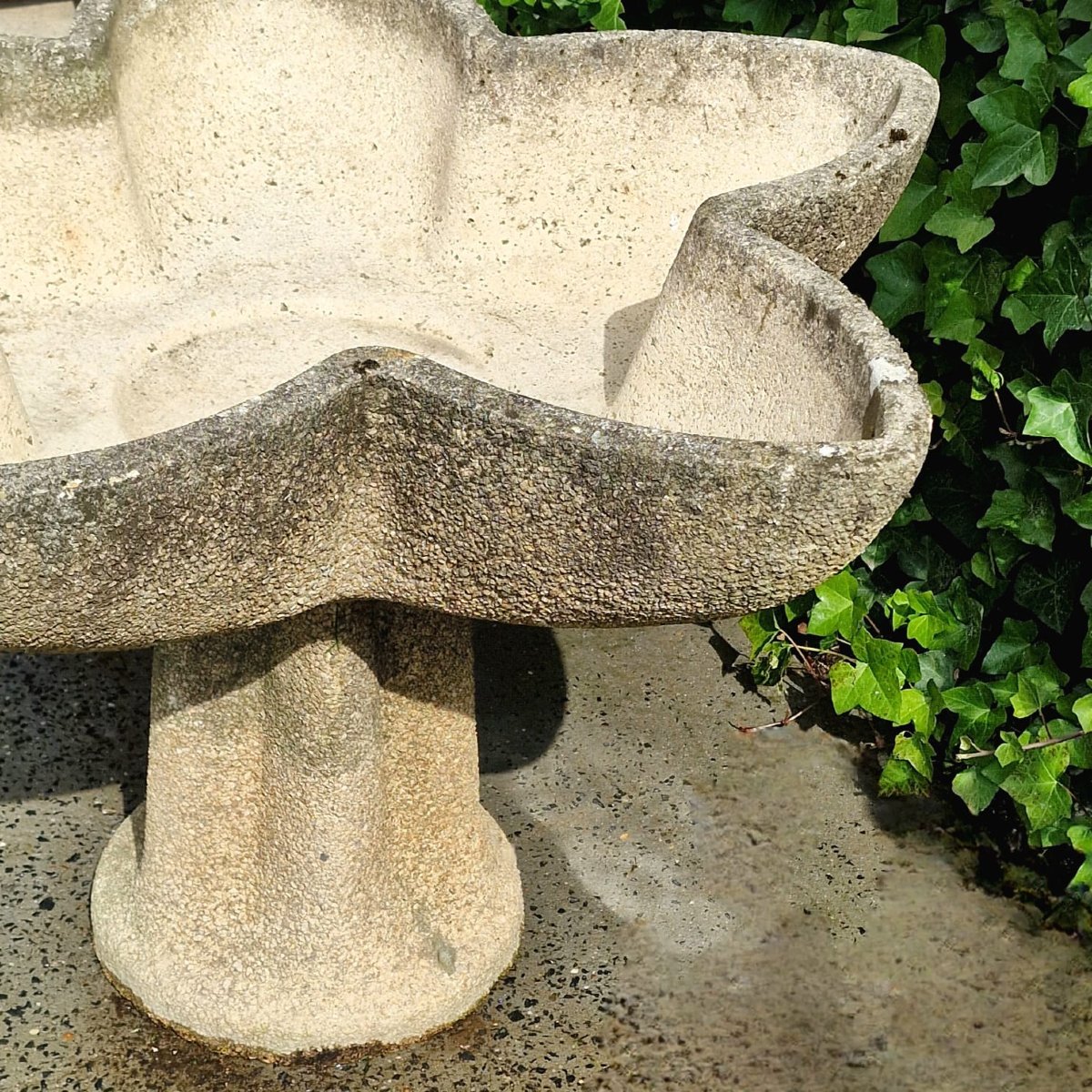 Jardinière en forme d'étoile-photo-1