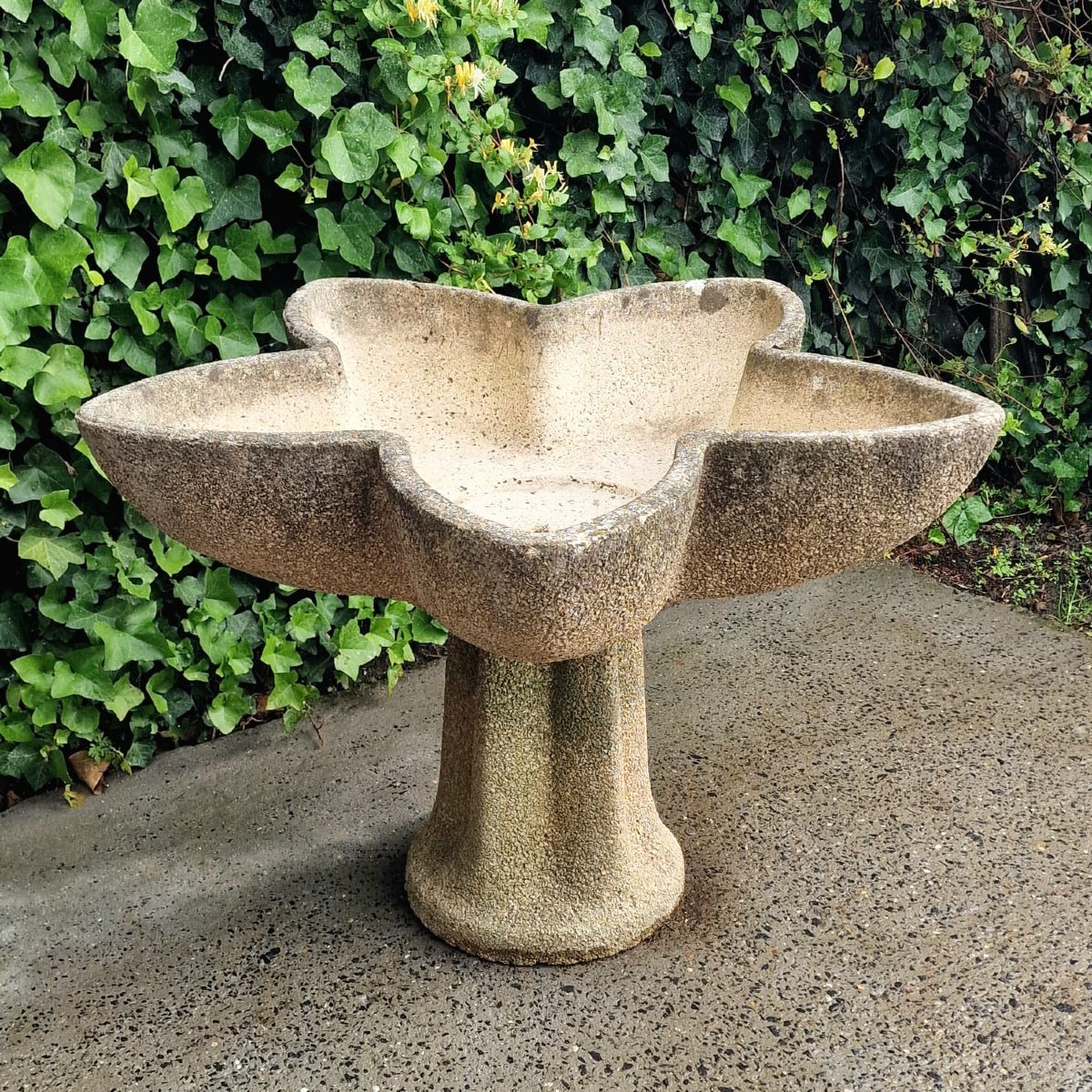 Jardinière en forme d'étoile-photo-2