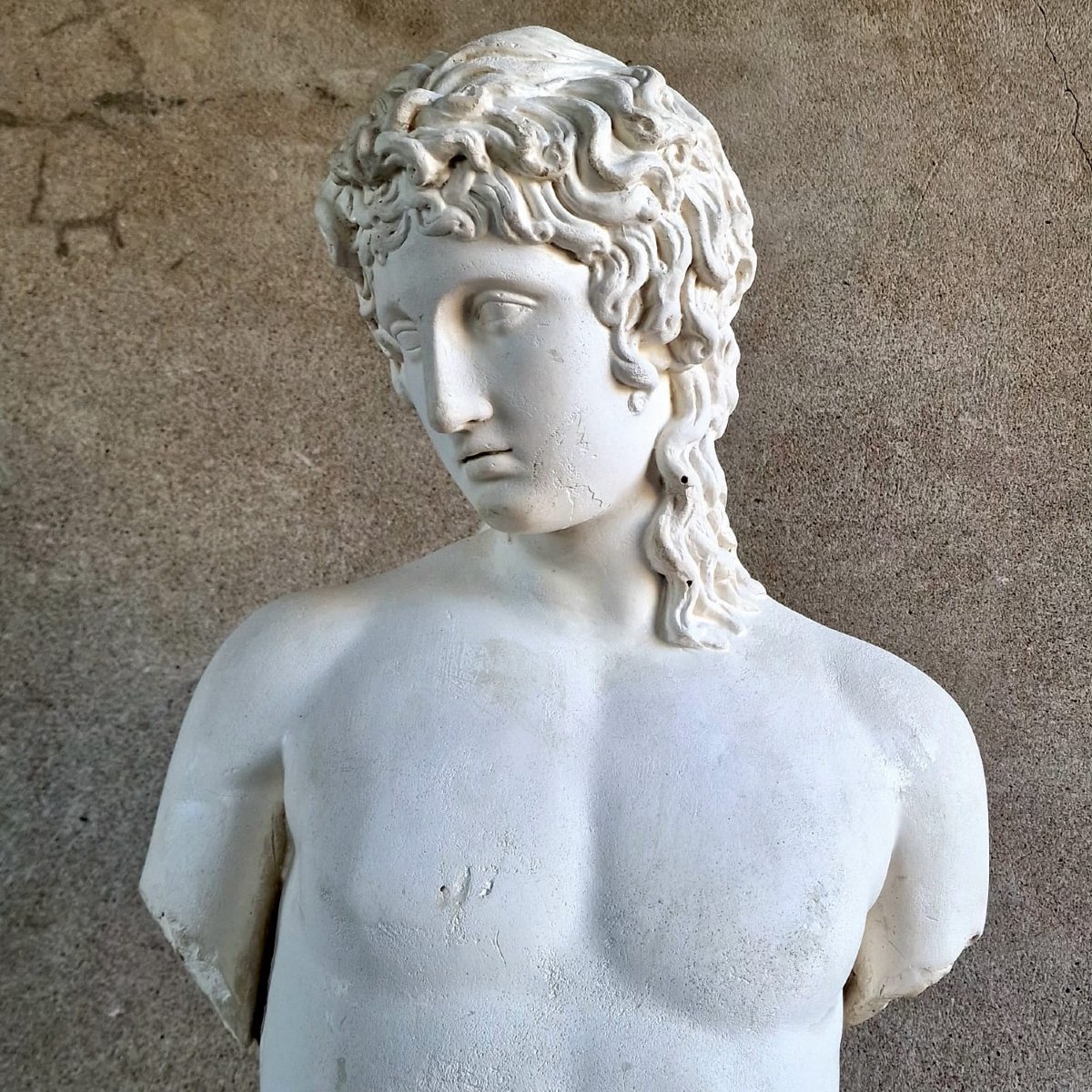 Greek Torso In Plaster-photo-2