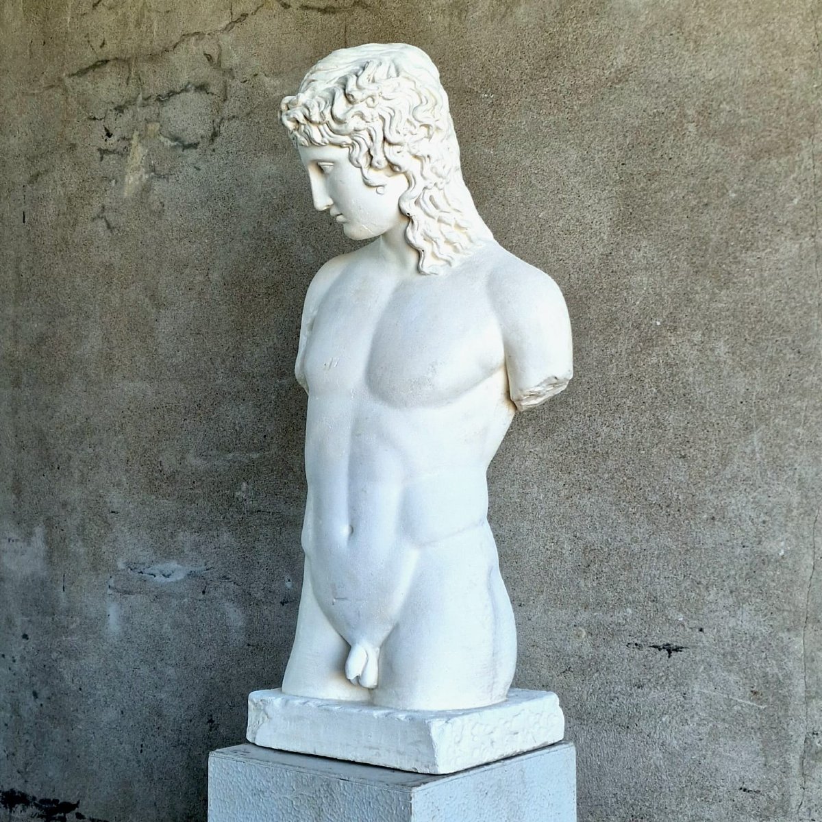 Greek Torso In Plaster-photo-4