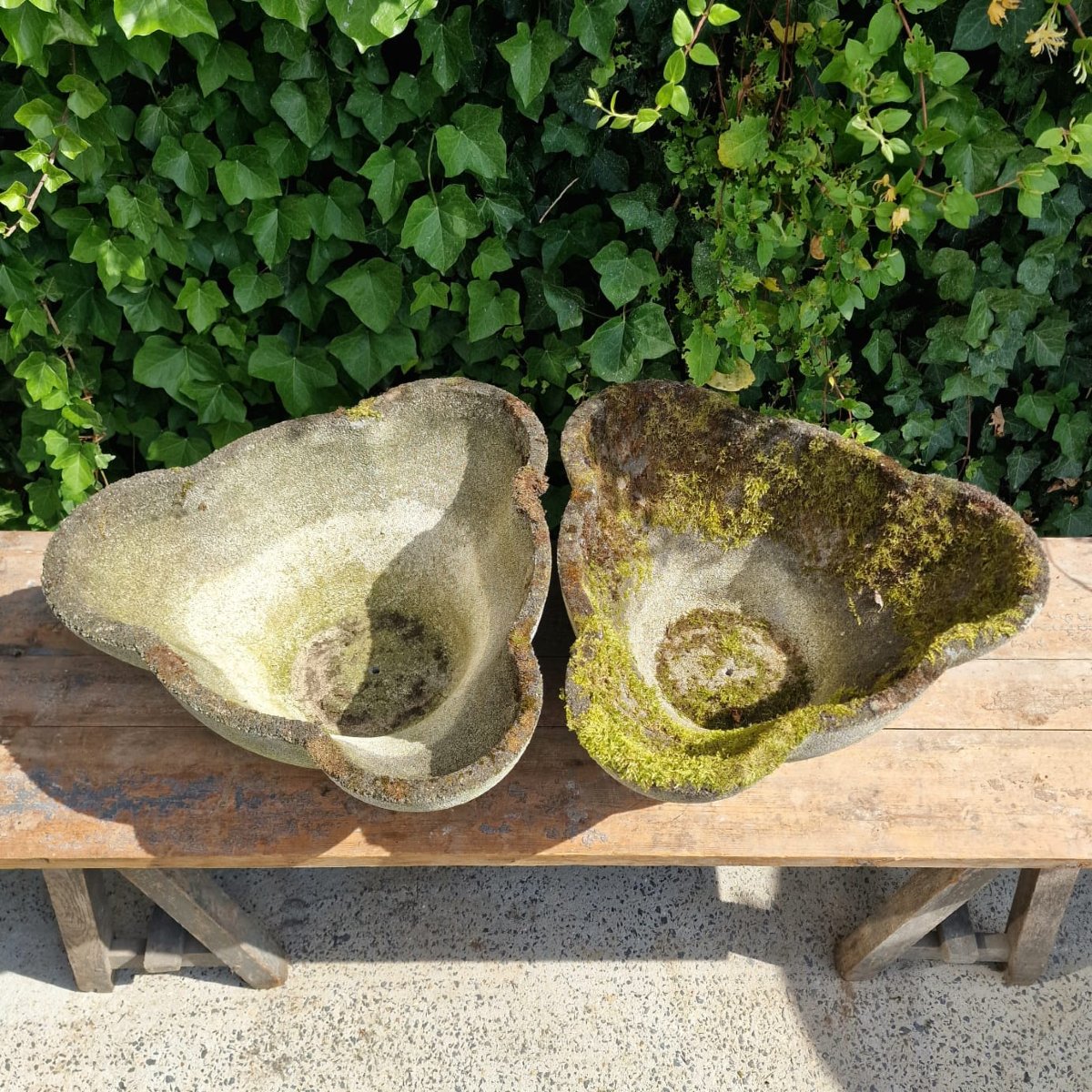 Grandes jardinières en forme de trèfle-photo-1