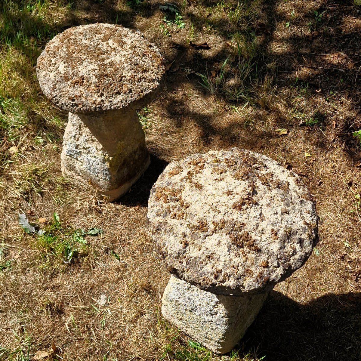 Paire de Staddle Stones-photo-2