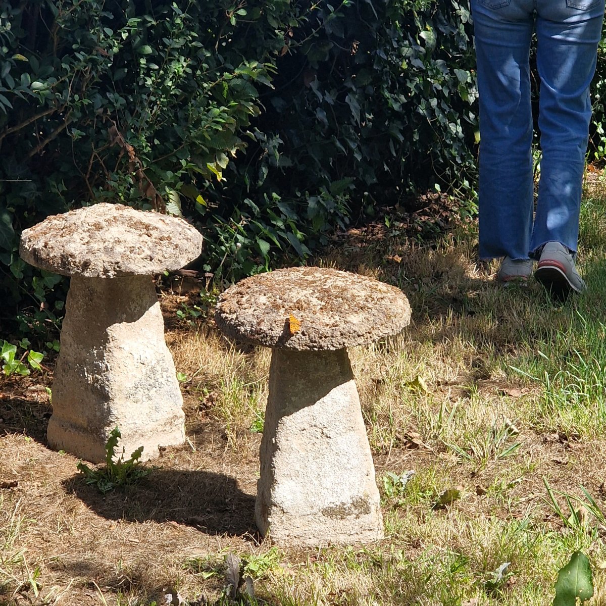 Paire de Staddle Stones-photo-4