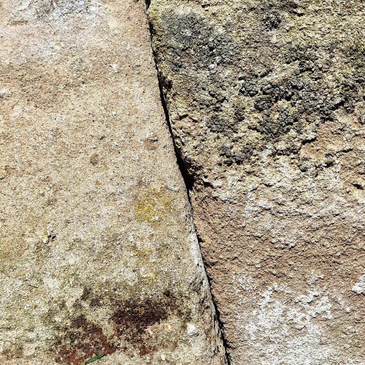 Paire de Staddle Stones-photo-1