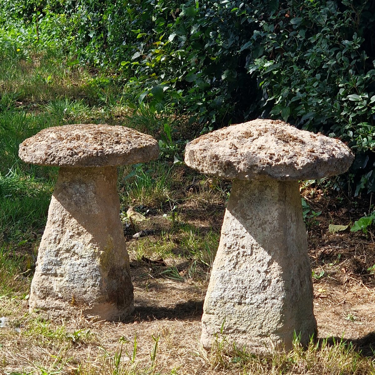 Paire de Staddle Stones-photo-2