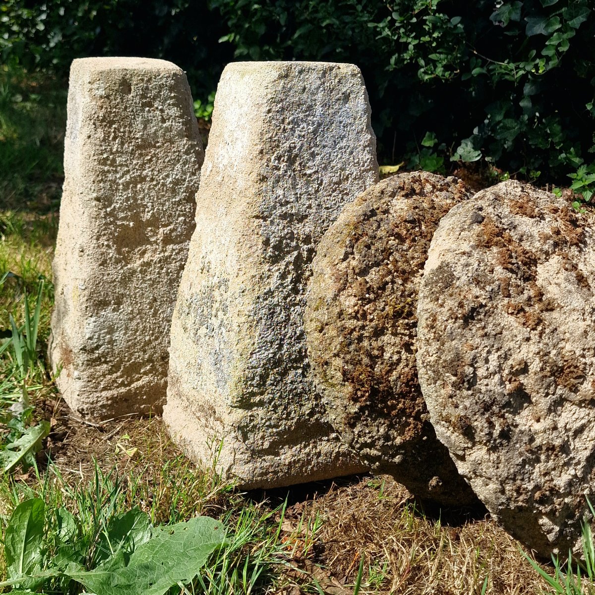 Paire de Staddle Stones-photo-3