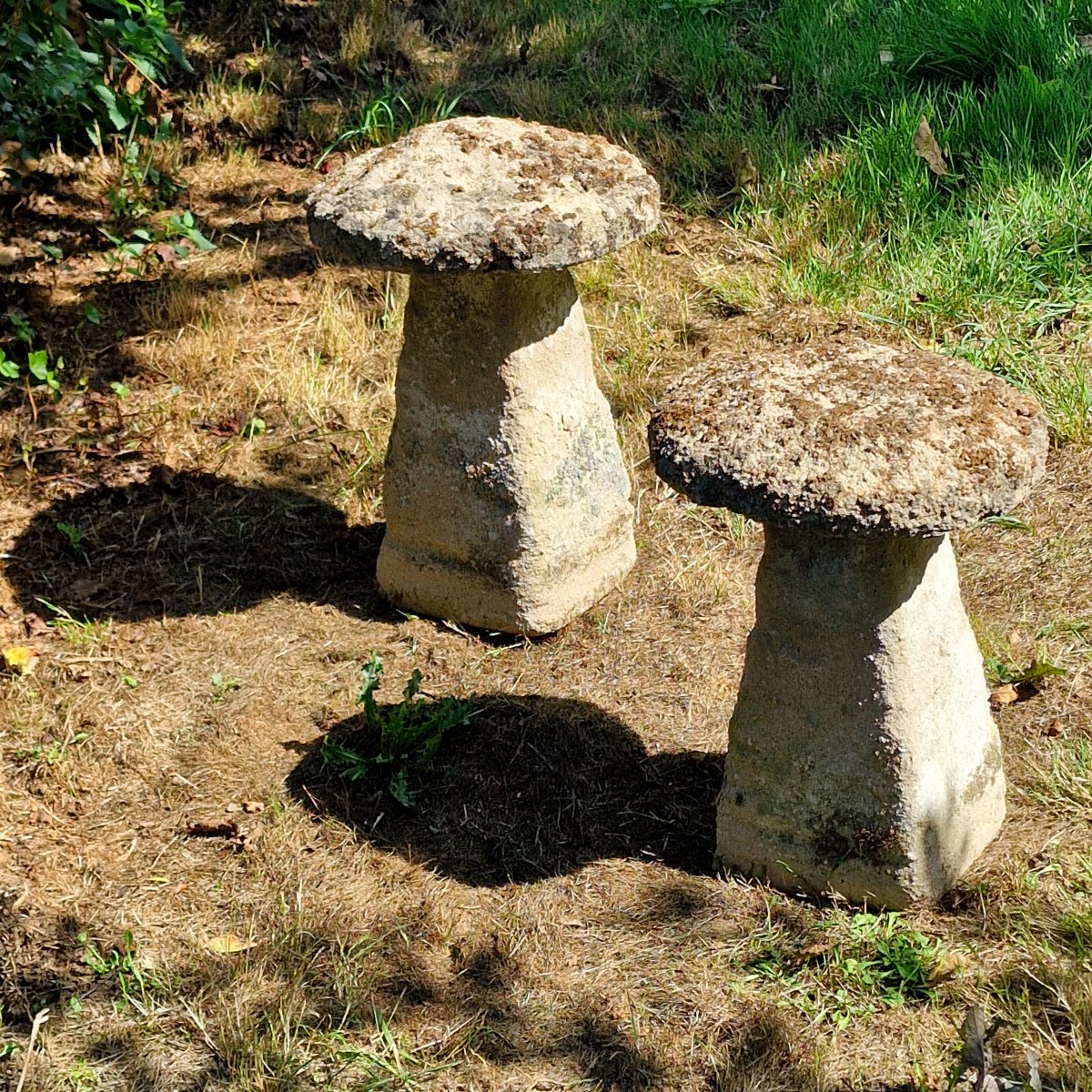 Paire de Staddle Stones-photo-4