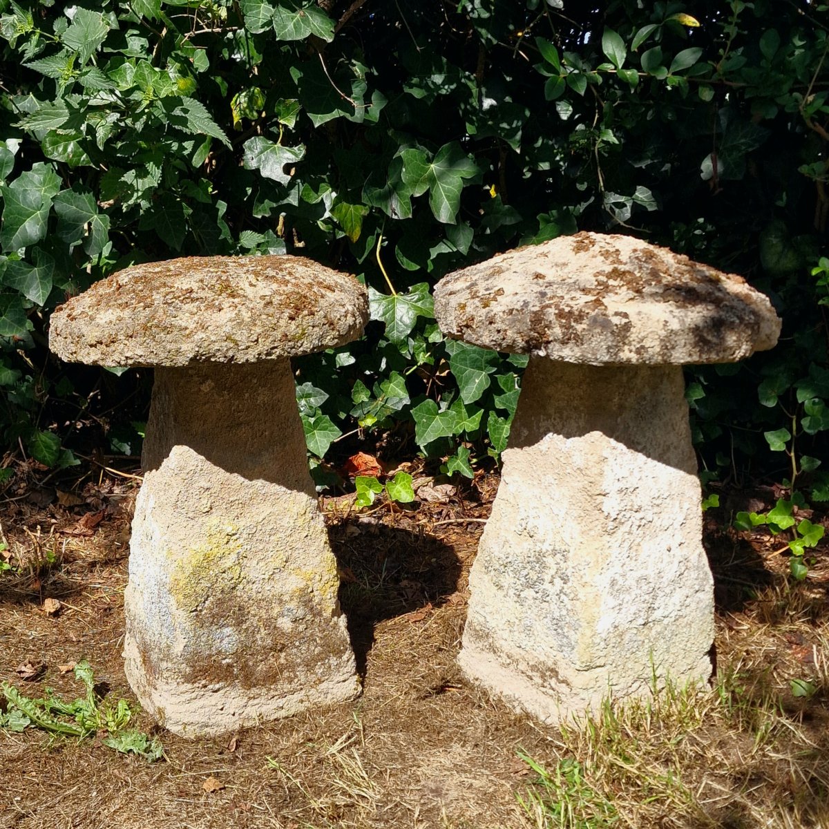 Paire de Staddle Stones