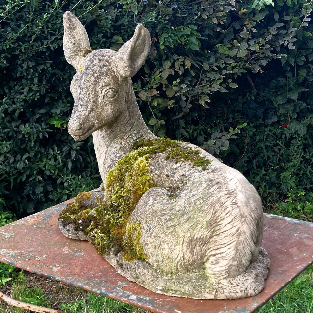 Mossy Stag-photo-2
