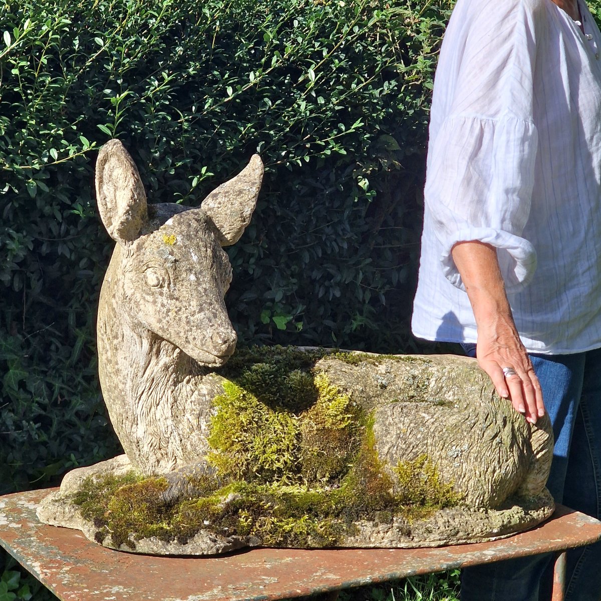 Mossy Stag-photo-3