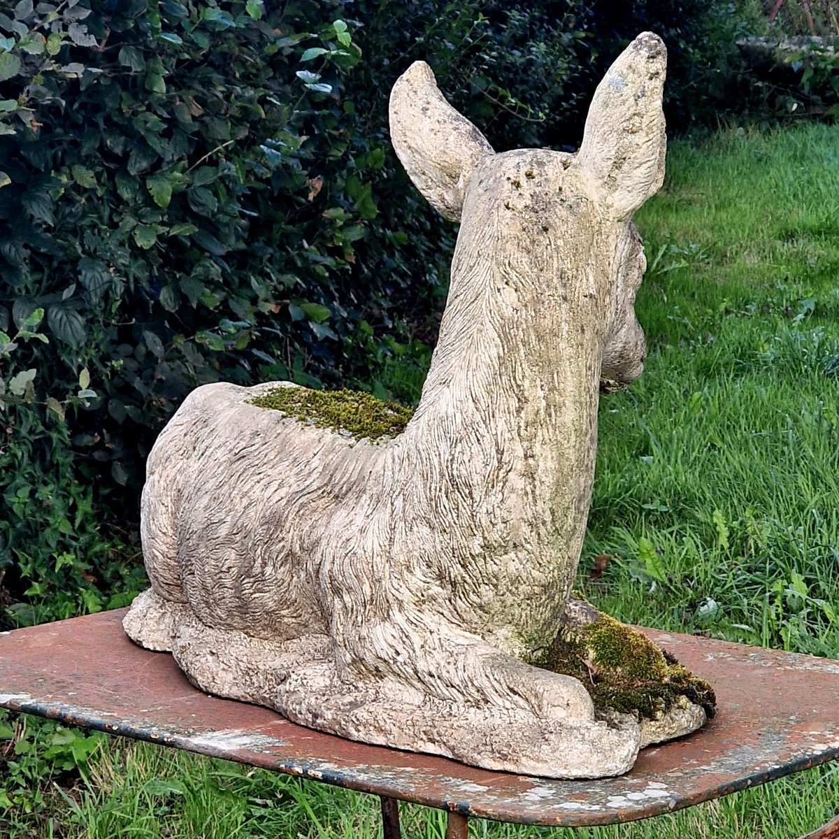 Mossy Stag-photo-4