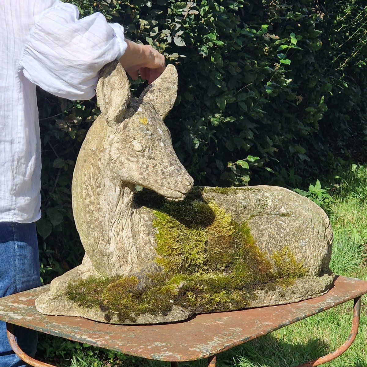Mossy Stag-photo-1