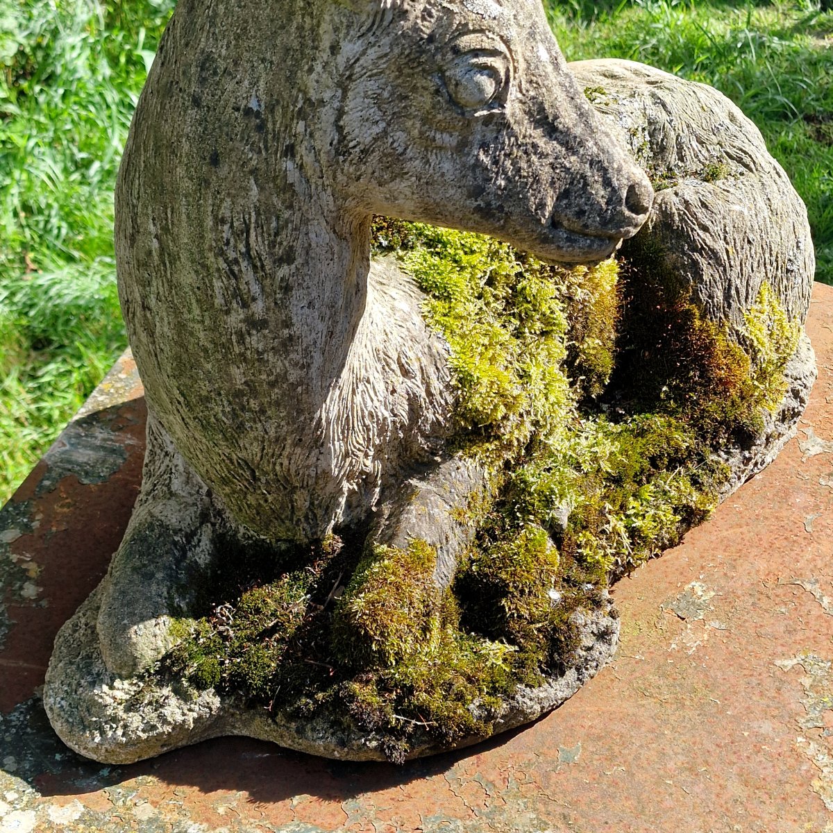 Mossy Stag-photo-2