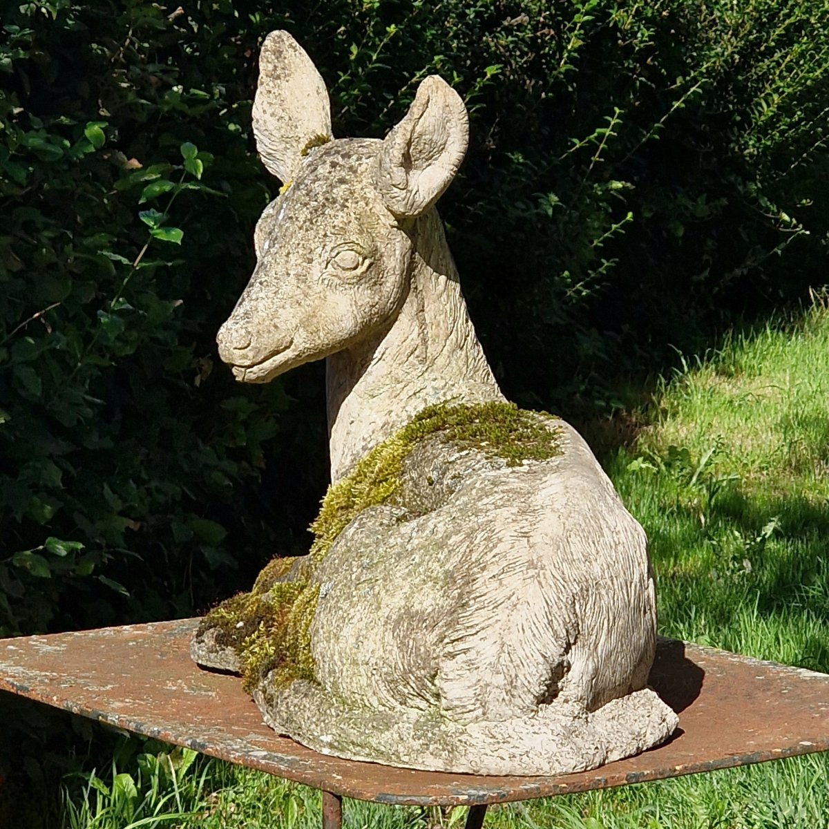 Mossy Stag-photo-4