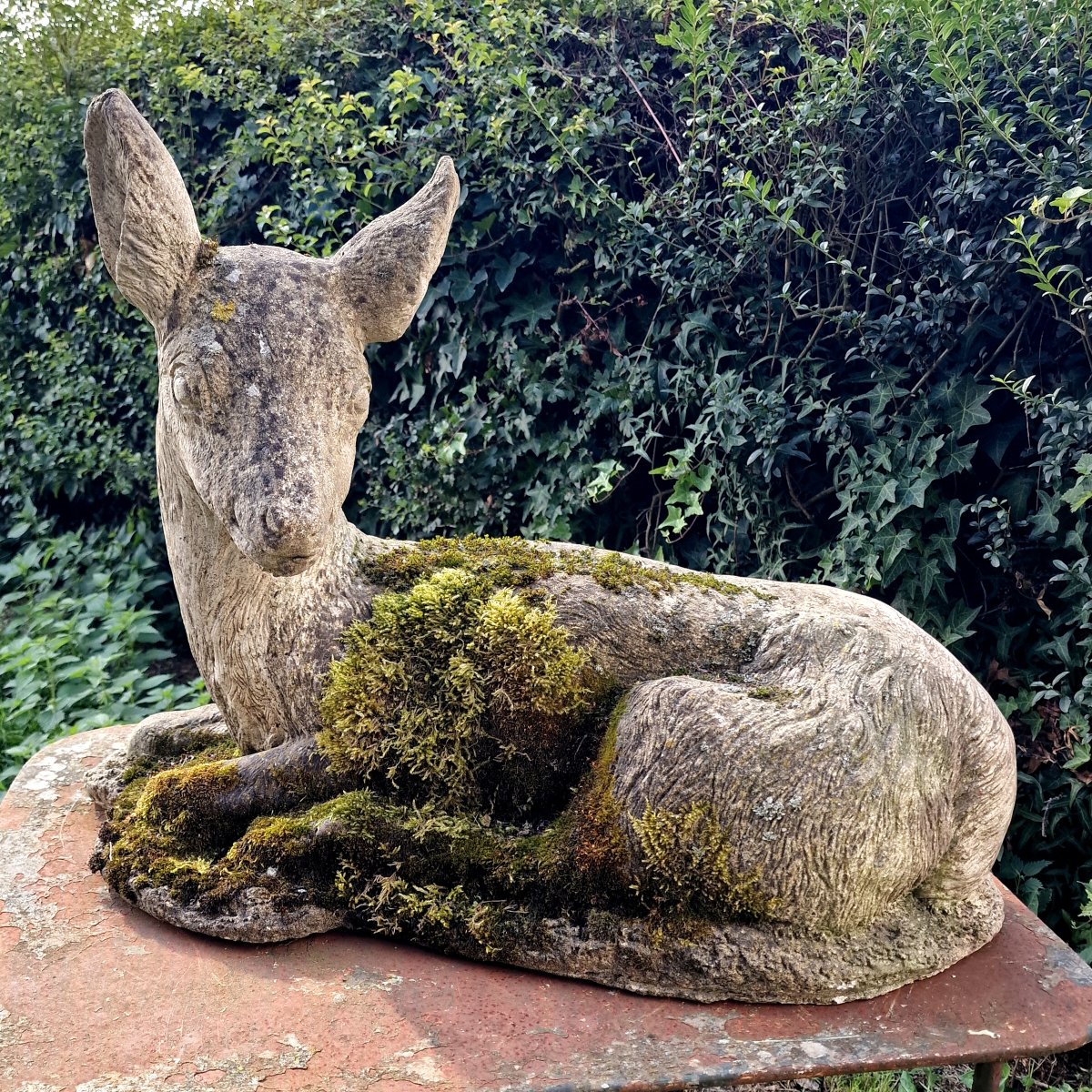 Mossy Stag