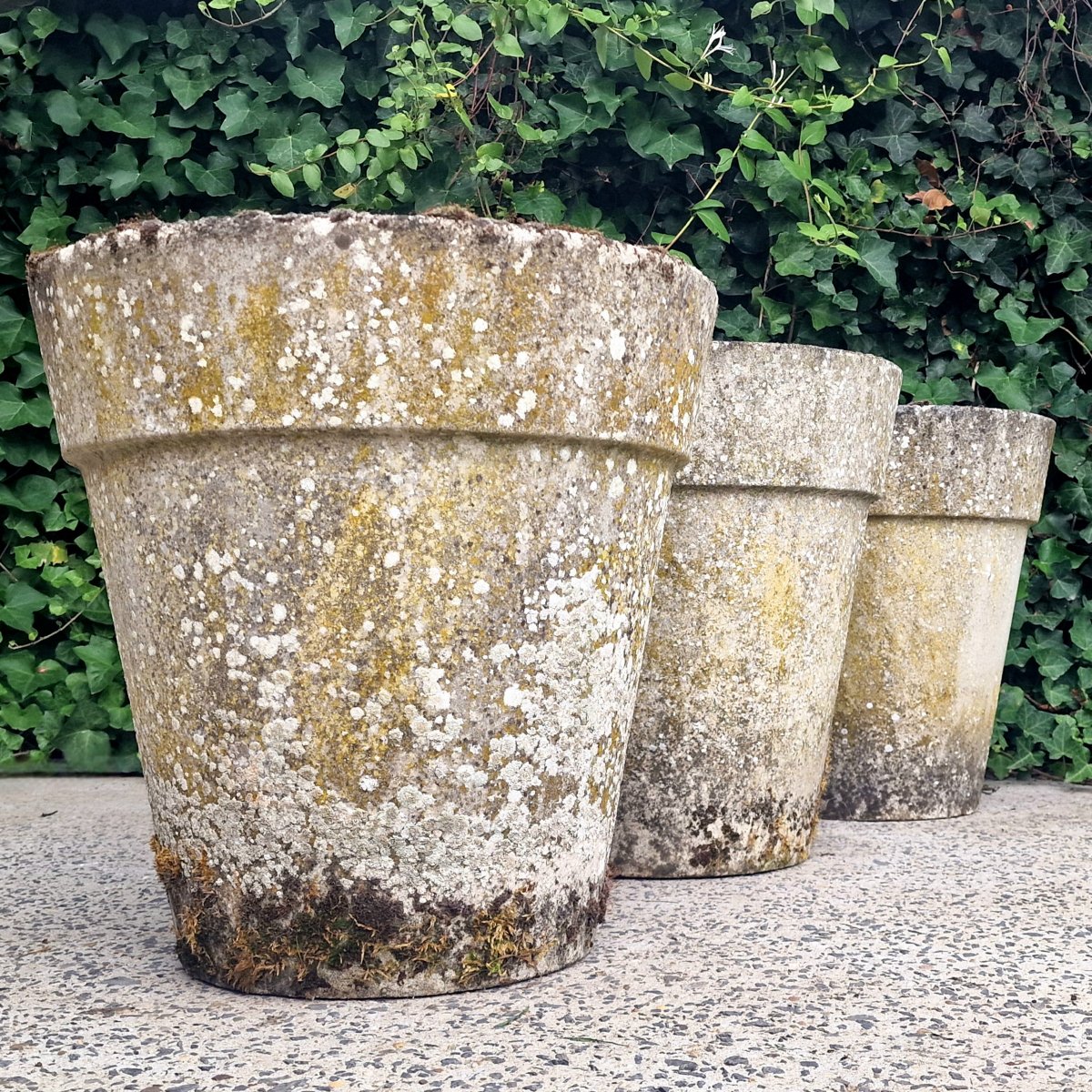3 Large Flower Pots-photo-2