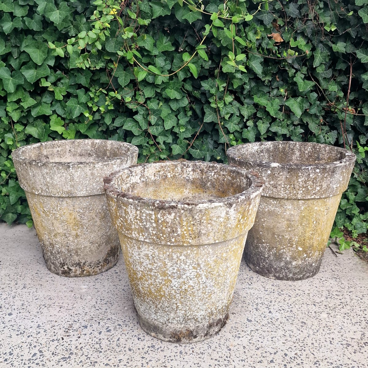 3 Large Flower Pots-photo-4