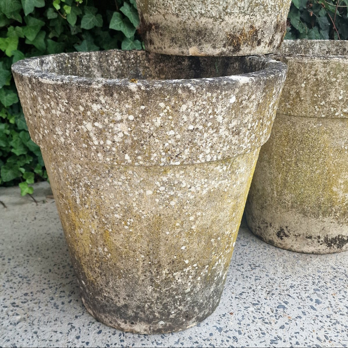 3 Large Flower Pots-photo-3