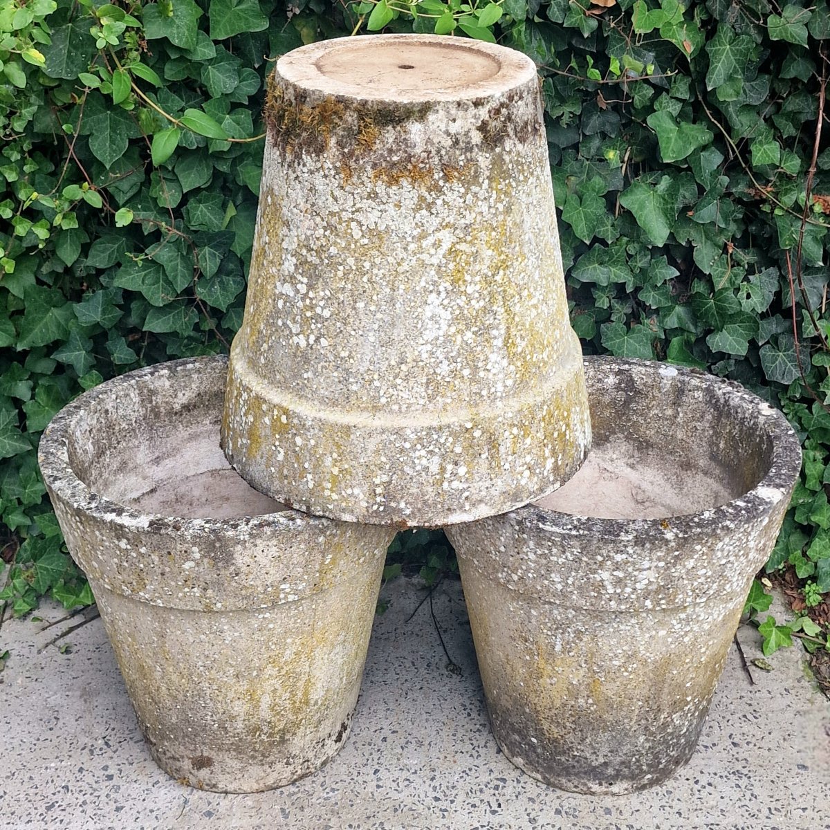 3 Large Flower Pots-photo-4