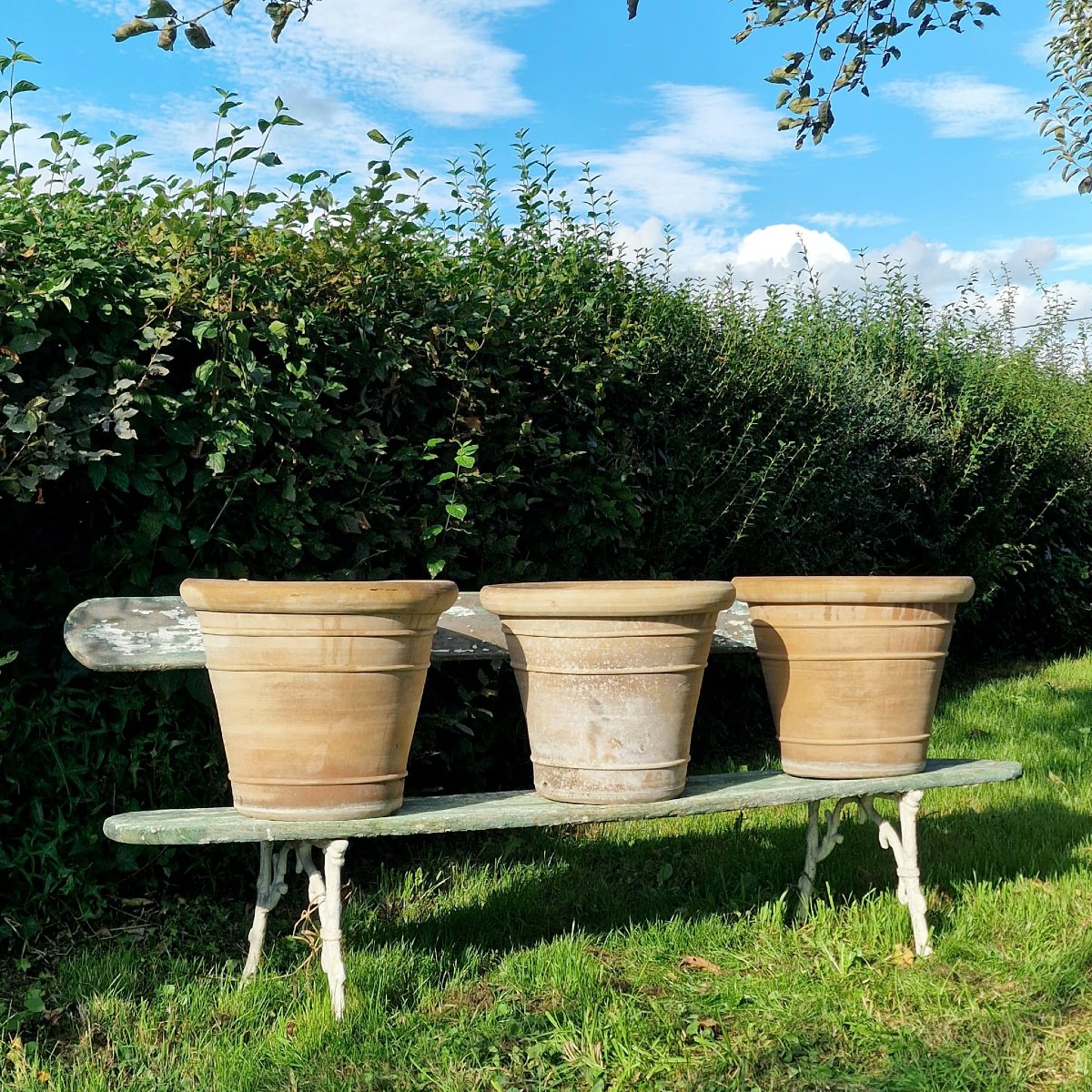3 grands pots en terre cuite