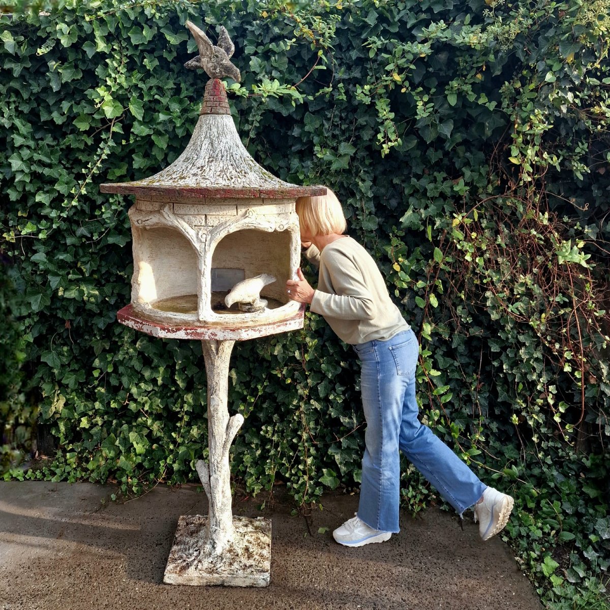 Bird Feeder-photo-4