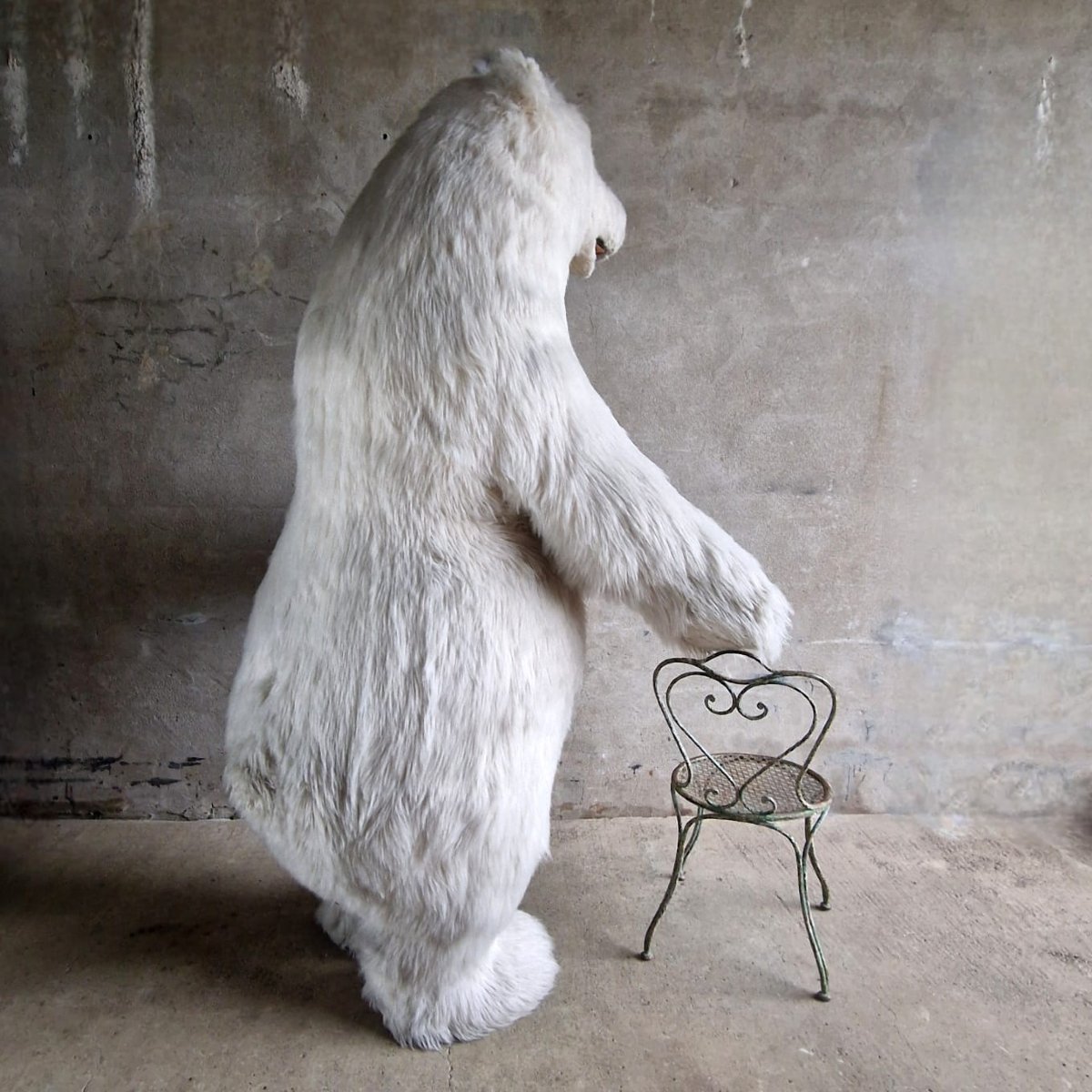 Xl Publicity Bear-photo-4