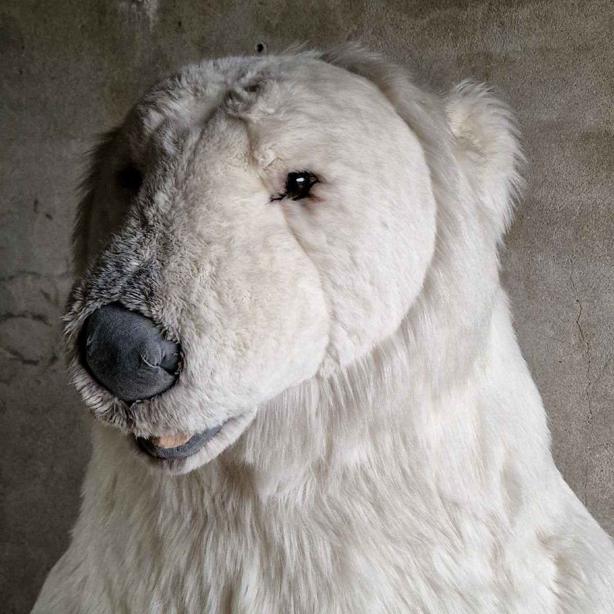 Xl Publicity Bear-photo-1