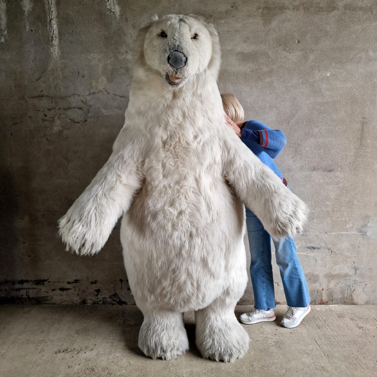 Xl Publicity Bear-photo-2