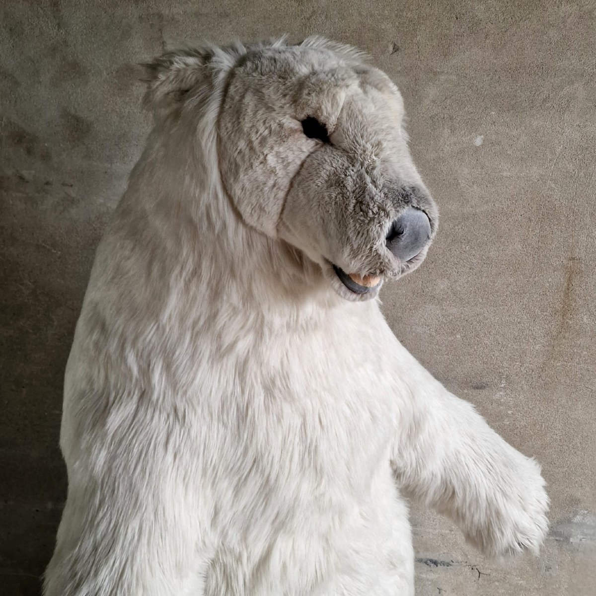 Xl Publicity Bear-photo-3