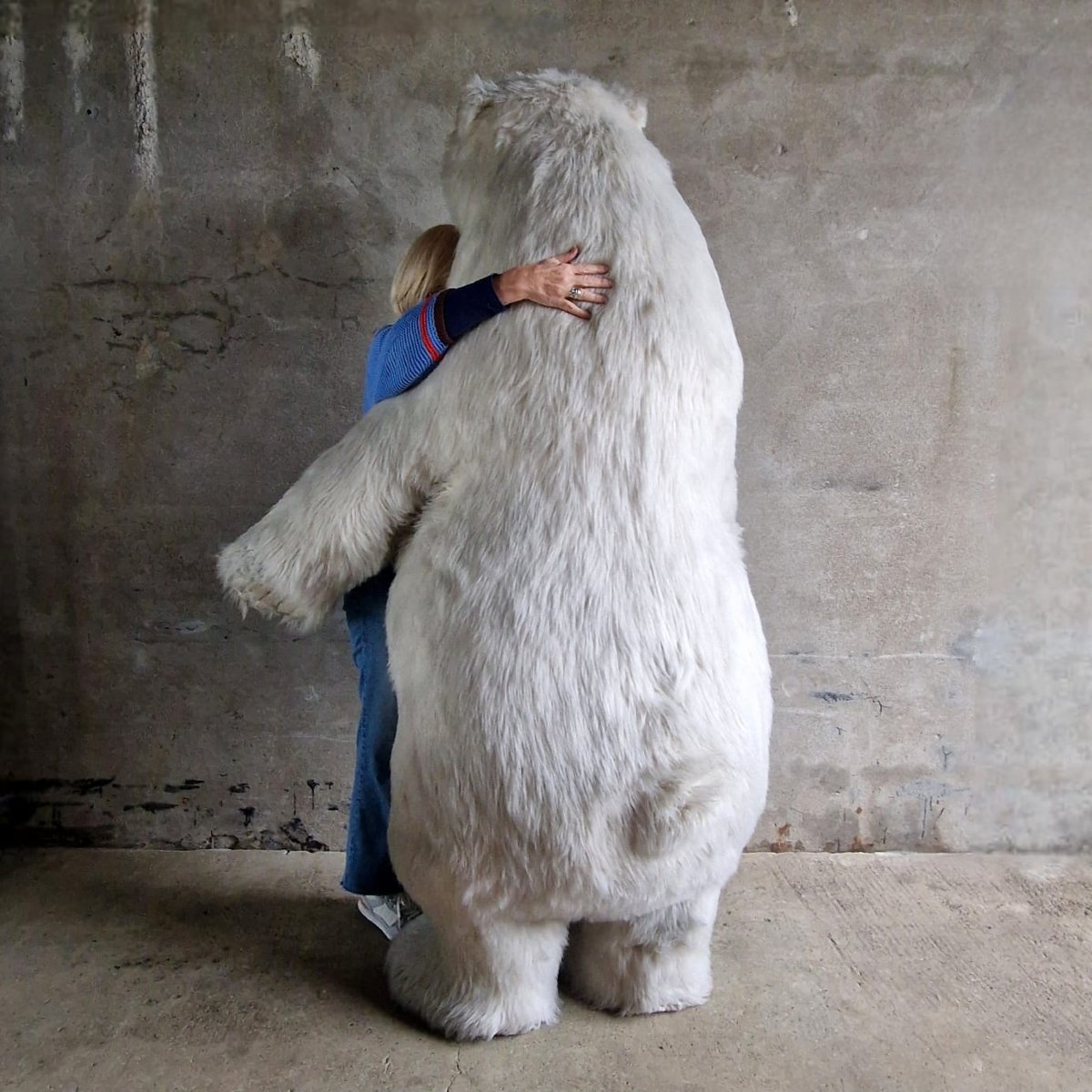 Xl Publicity Bear-photo-4