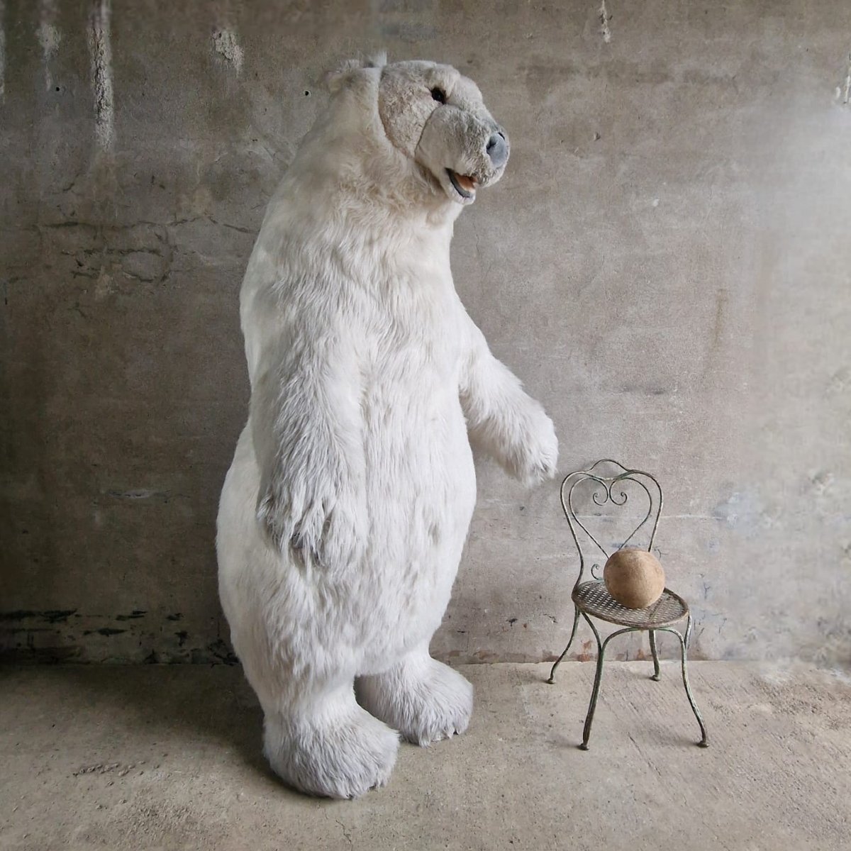 Xl Publicity Bear
