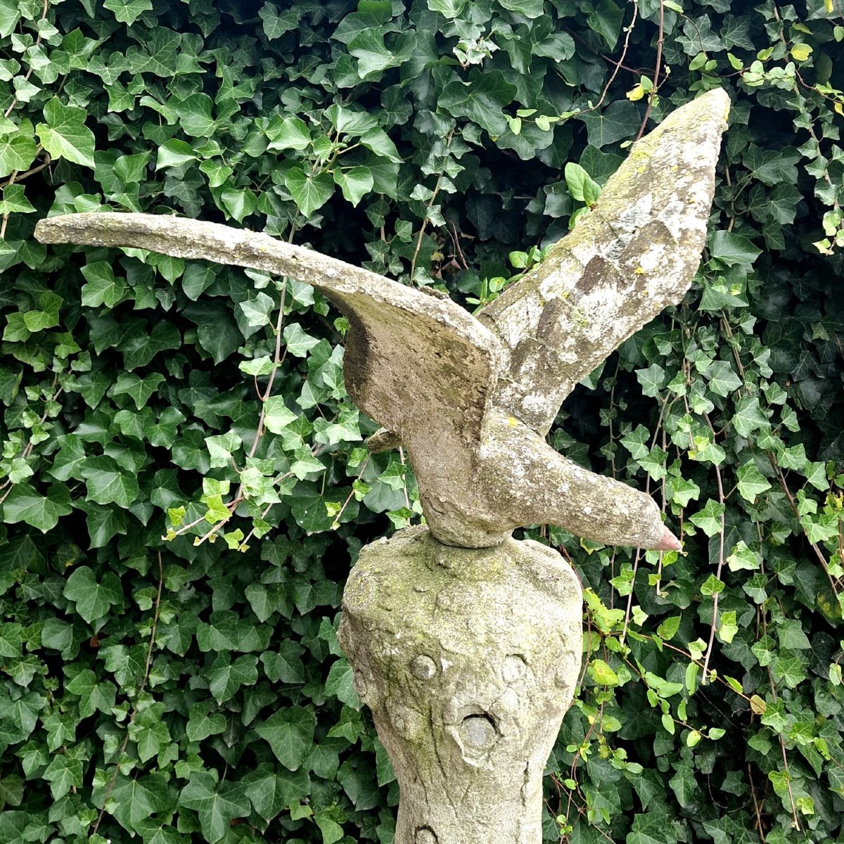 Giant Pigeon On A Tree Trunk-photo-1