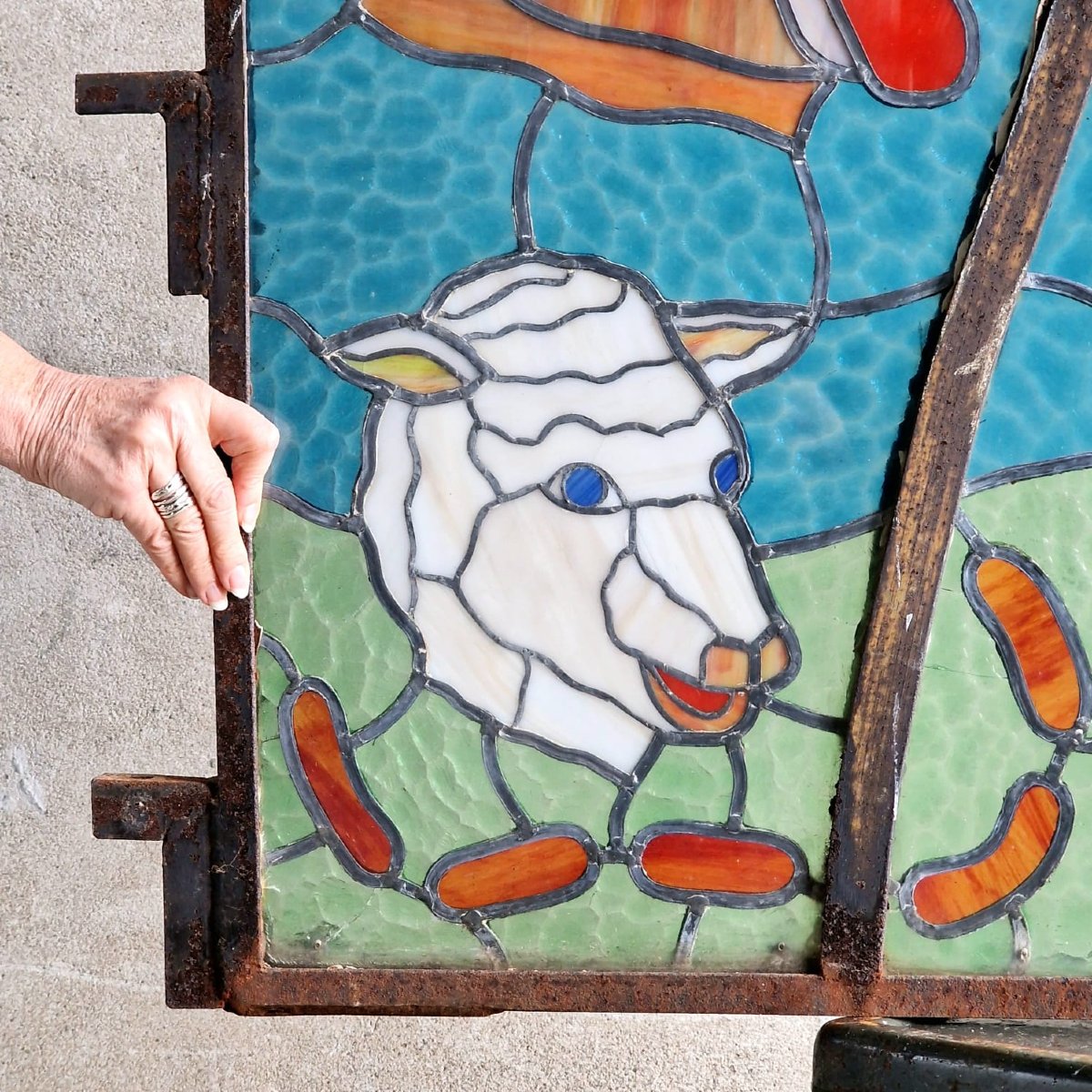 Butcher Shop Display Window-photo-2