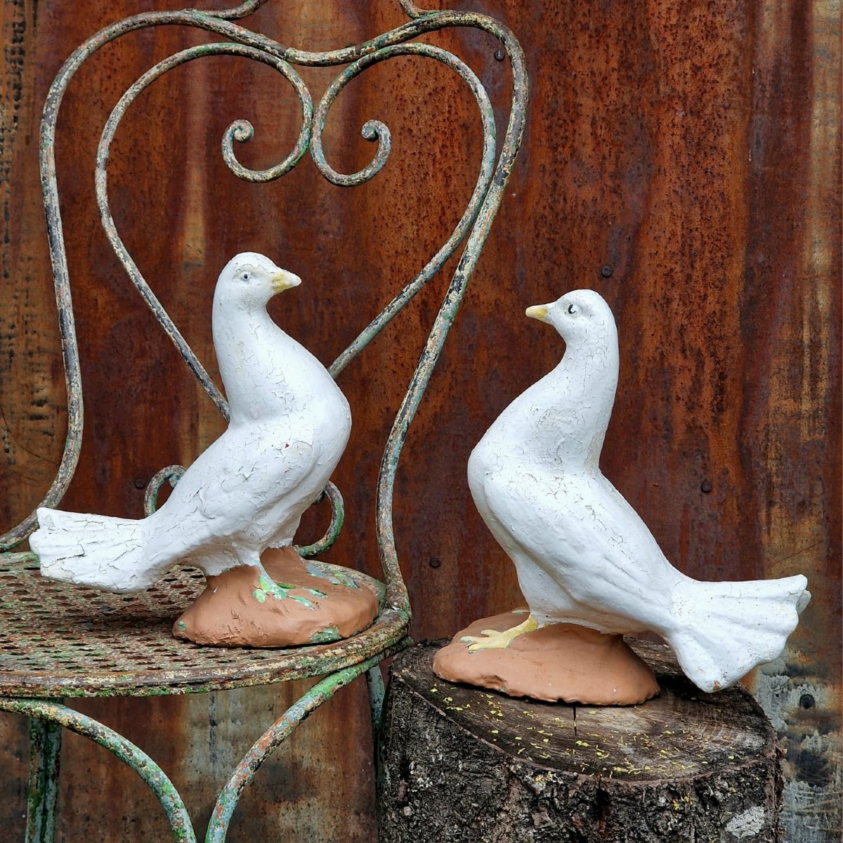 2 colombes amoureuses