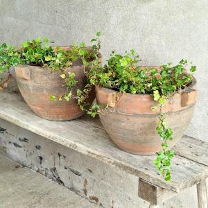 Paire De Jardinières En Terre Cuite