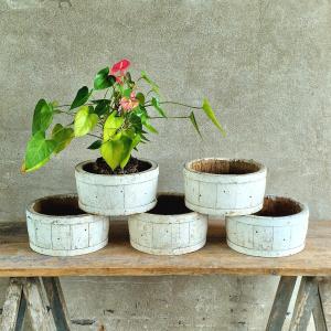5 jardinières en chène