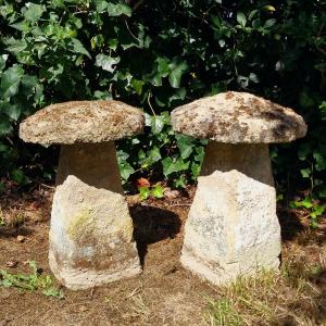 Paire de Staddle Stones