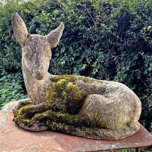 Mossy Stag
