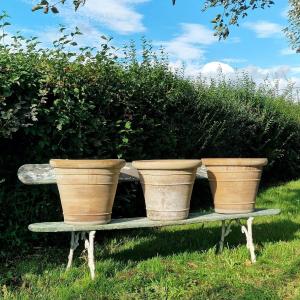 3 grands pots en terre cuite