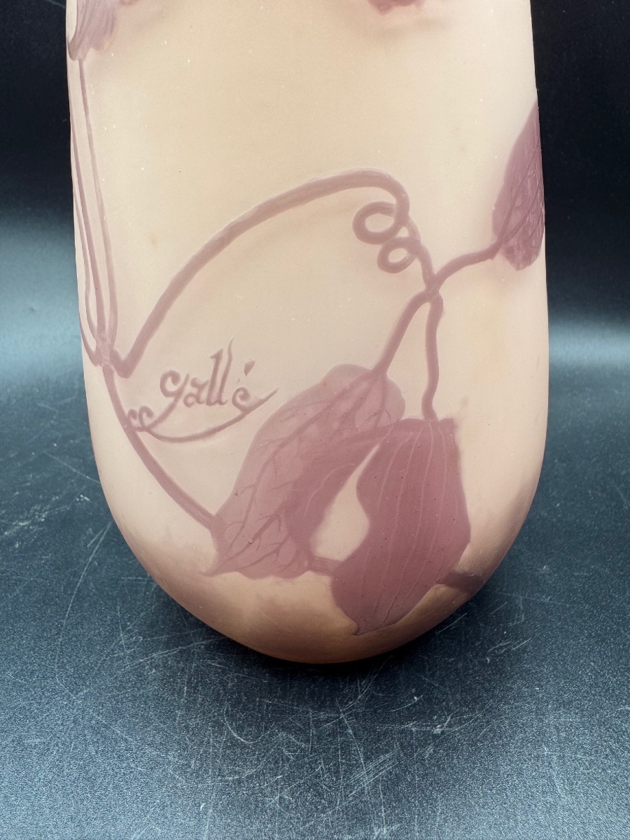 Émile Gallé Nancy - Vase art nouveau à décor floral-photo-2