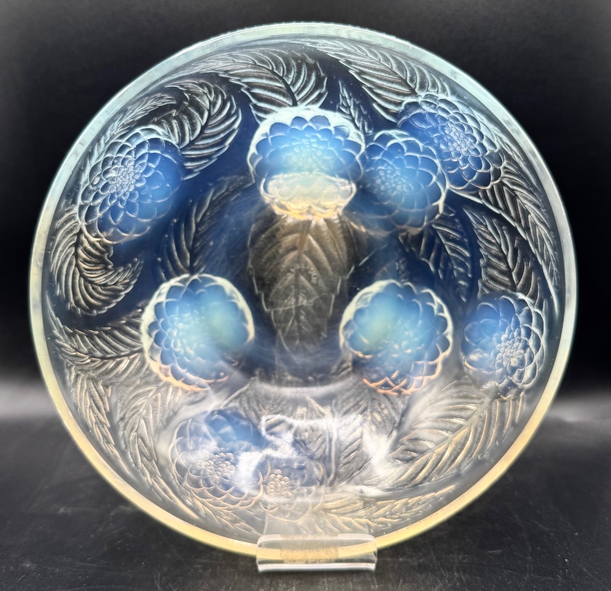 René LALIQUE - Coupe Dahlias en verre opalescent - Epoque Art Déco-photo-3