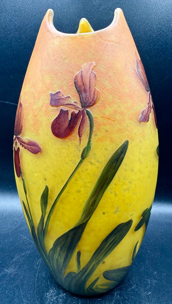 MULLER FRÈRES LUNEVILLE - Vase d'époque Art Nouveau à décor d'iris-photo-1