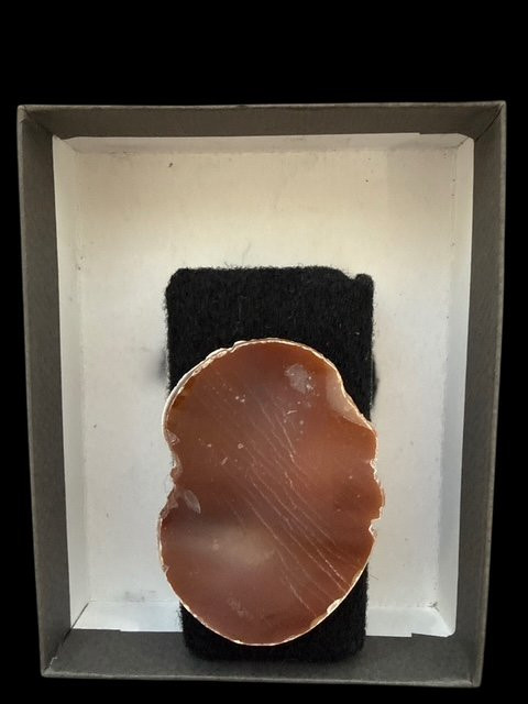 Cameo-photo-6