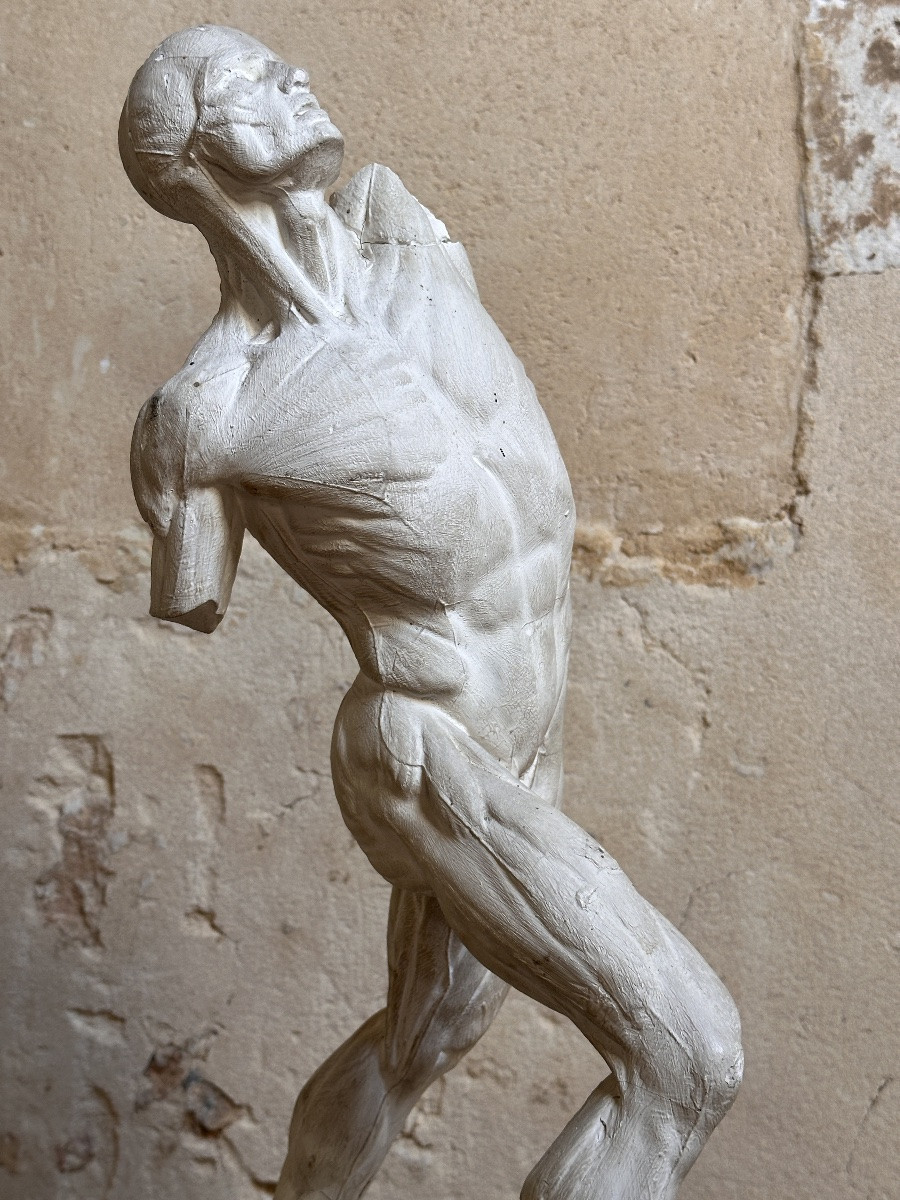 Flayed Fighter - After Jacques-eugène Caudron - Plaster-photo-7