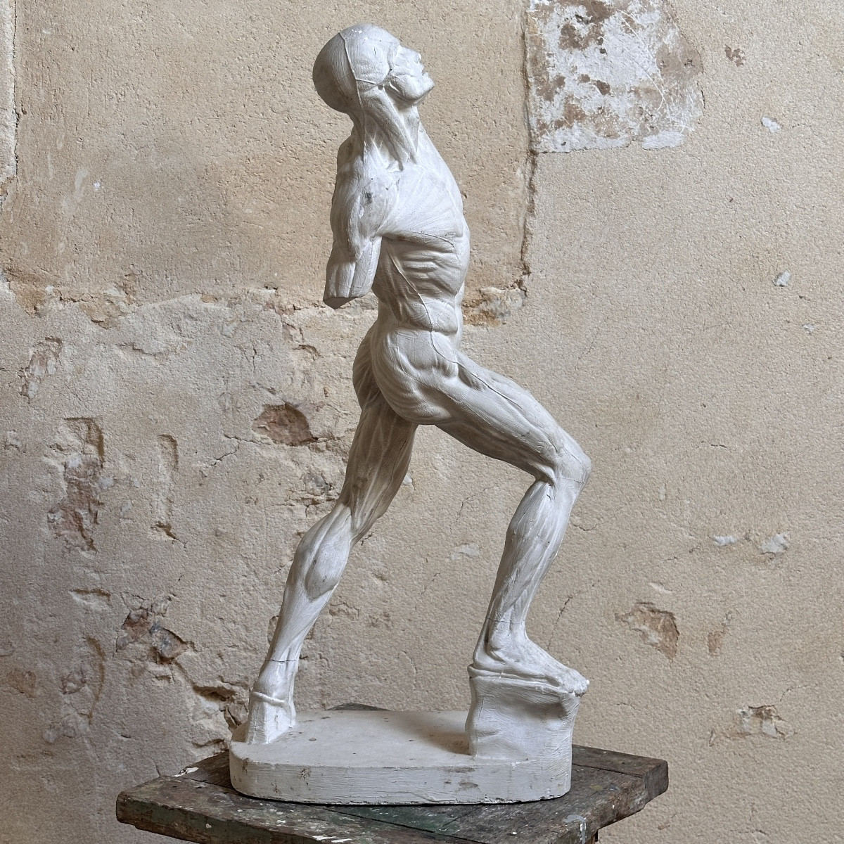 Flayed Fighter - After Jacques-eugène Caudron - Plaster