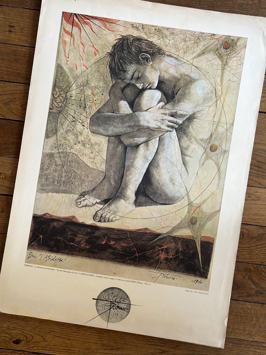 Pierre-Yves Trémois - "La naissance du surhomme" - Lithographie-photo-4
