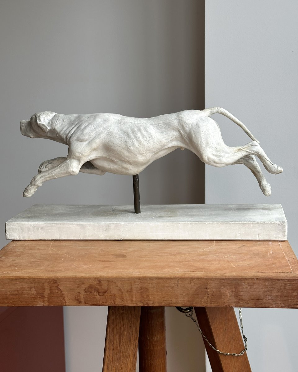 Lévrier en pleine course - Plâtre-photo-3