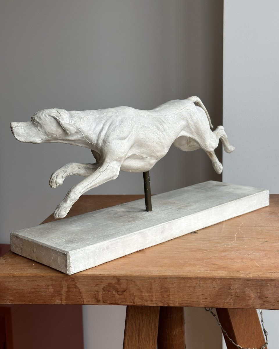 Lévrier en pleine course - Plâtre-photo-4